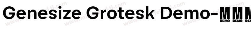 Genesize Grotesk Demo字体转换